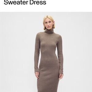 GAP Turtleneck Sweater Dress